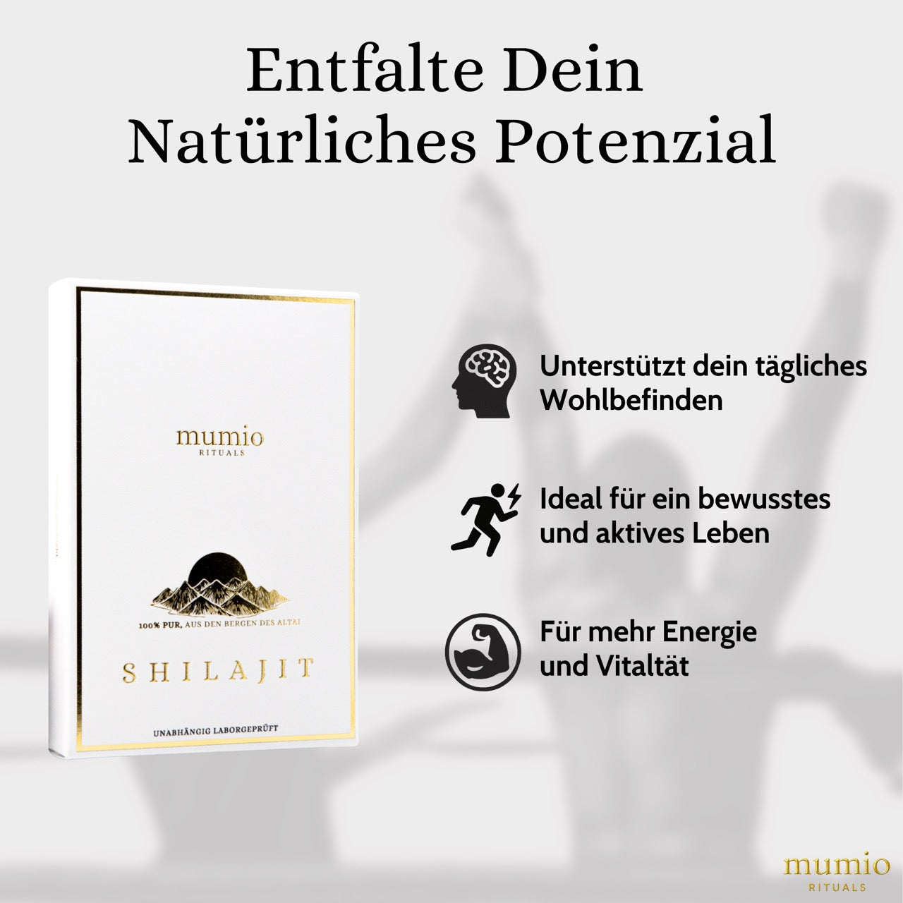 Mumio Shilajit Tabs