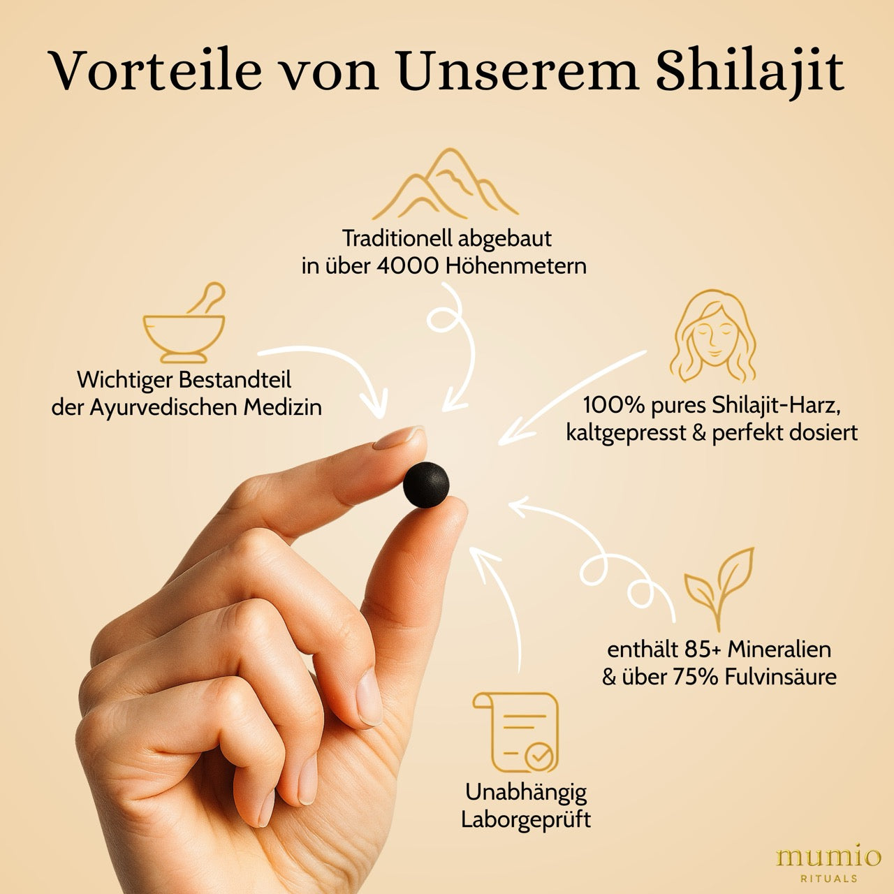 Mumio Mini's