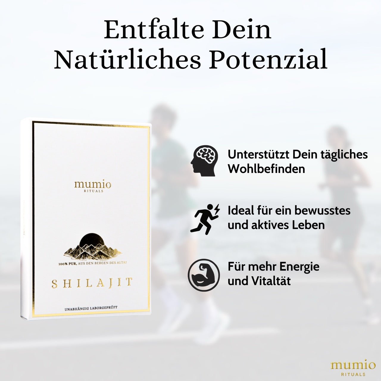 Mumio Shilajit Tabs