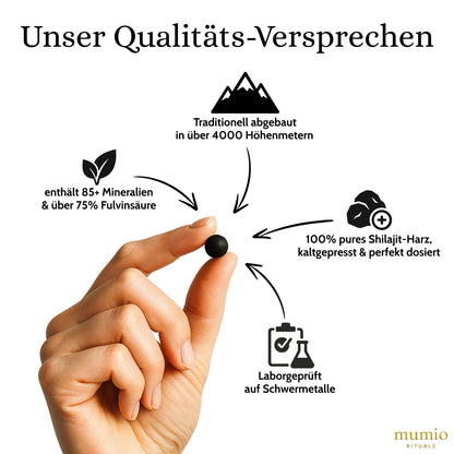 Mumio Shilajit Tabs
