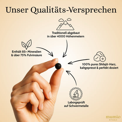 Mumio Shilajit Tabs