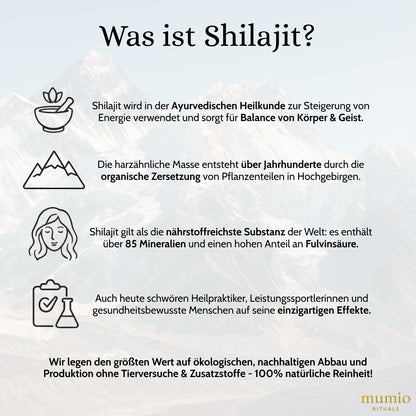 Mumio Shilajit Tabs