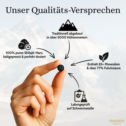 Mumio Shilajit Tabs